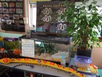 classroom set up for Fritz.jpg
