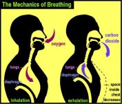 breathe.jpg