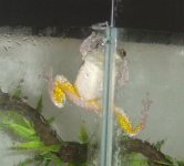 billy_001.jpg