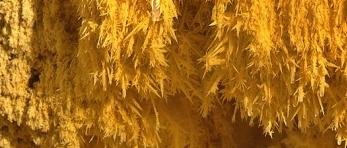 sulphur.jpg