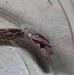 DSC_2654.JPG