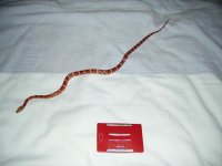 PICT0023.JPG