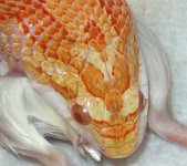 9`12`04-Candy-most-eating.jpg