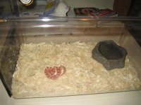 IMG_0789.JPG