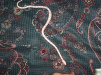 100_0687.JPG