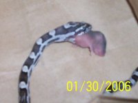 Picture2 054.jpg