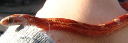 IMG_0761.jpg