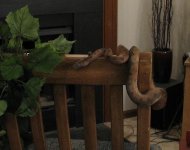 on the chair better.JPG