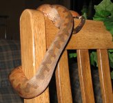 on chair with flash.JPG