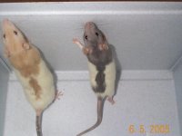 Baxter&Cindy.jpg