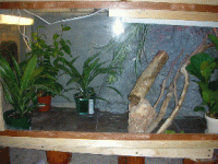 DSCN0269.gif