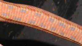 7.JPG