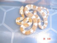 new additions 001 (Small).jpg