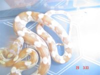 new additions 002 (Small).jpg