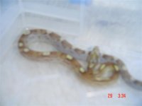 new additions 003 (Small).jpg