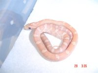 new additions 006 (Small).jpg