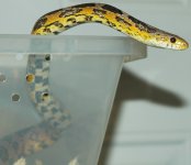 DSC_0109.jpg