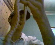 stelaaaaaaaaaaaaaaaaa 029.jpg