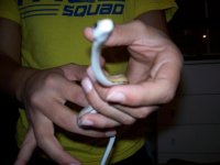 100_0320.JPG