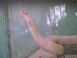 M01080933_2.jpg
