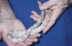 january 15, 2002 (7).jpg