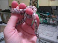 babycorn #2 10-23-05.jpg