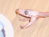 foto5.jpg
