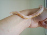Picture 12.jpg