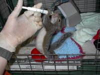 Feeding Time - Published.jpg