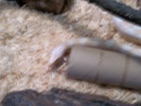 100_0175.jpg