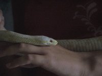 100_0165.jpg