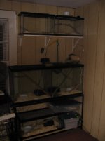 IMG_1618.JPG
