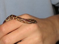 IMG_0643small.jpg