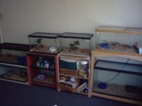 wall o' snakes.jpg