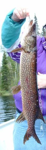 Pike.jpg