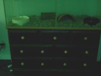 my dresser.jpg