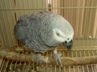 PICT0373.JPG