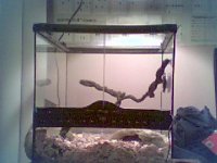 Picture 62 (1).jpg