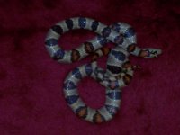 Roll 181 - 5.jpg