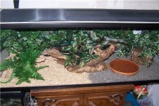New plants.JPG