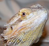 head3.jpg