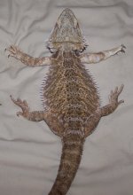 fullbody1.jpg