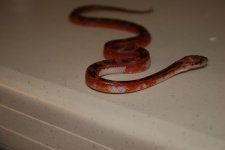 IMG_3764.jpg