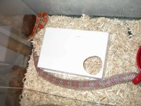 DSCN2057.JPG
