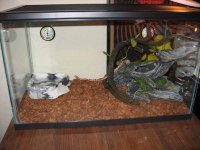 IMG_0347.jpg