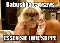 lolcatsdotcom9j6drqqbzynovuhw.jpg