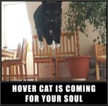 lolcatsdotcomgtto8ncrjrh8sqnx.jpg