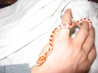 IMG_0343.jpg