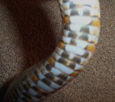 peach belly copy.jpg