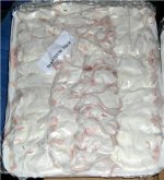 Frozenmice 001.jpg